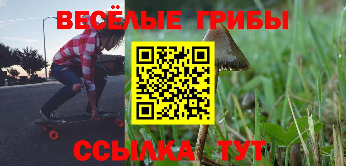 Псилоцибиновые грибы Psilocybe  Вход с VPN  продажа наркотиков  Юрга 