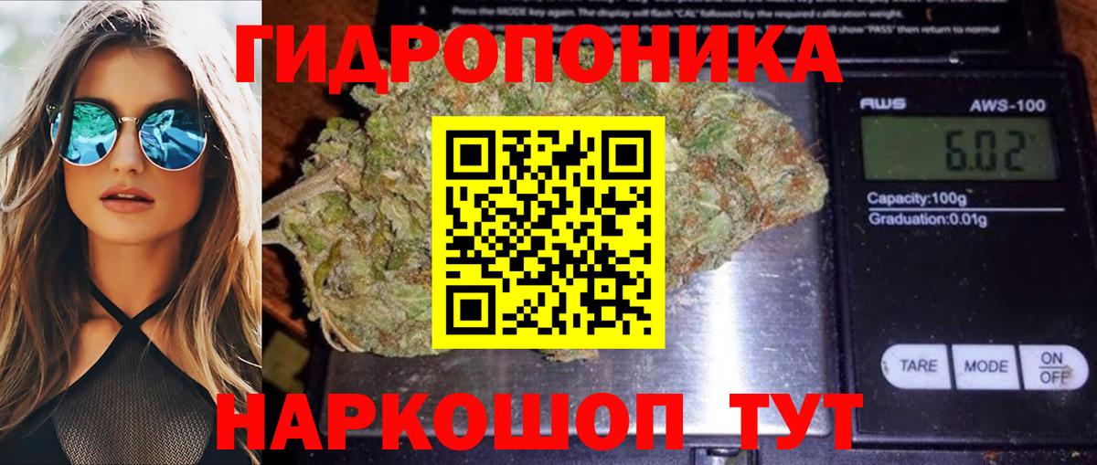 Юрга  Марихуана гибрид  Каннабис Bruce Banner  Вход с VPN  Бошки Шишки VHQ 